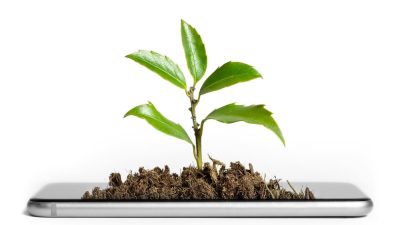 plante pousse smartphone